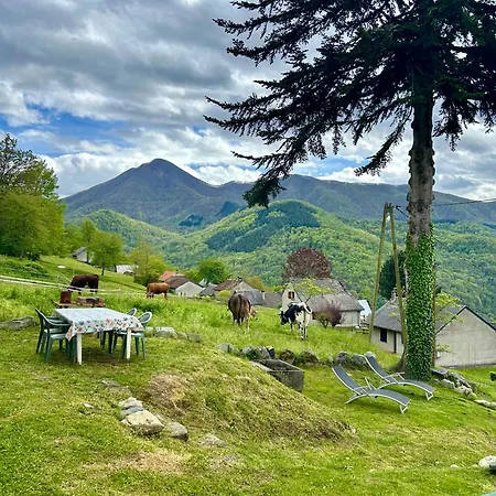 Chez Barque, Cominac